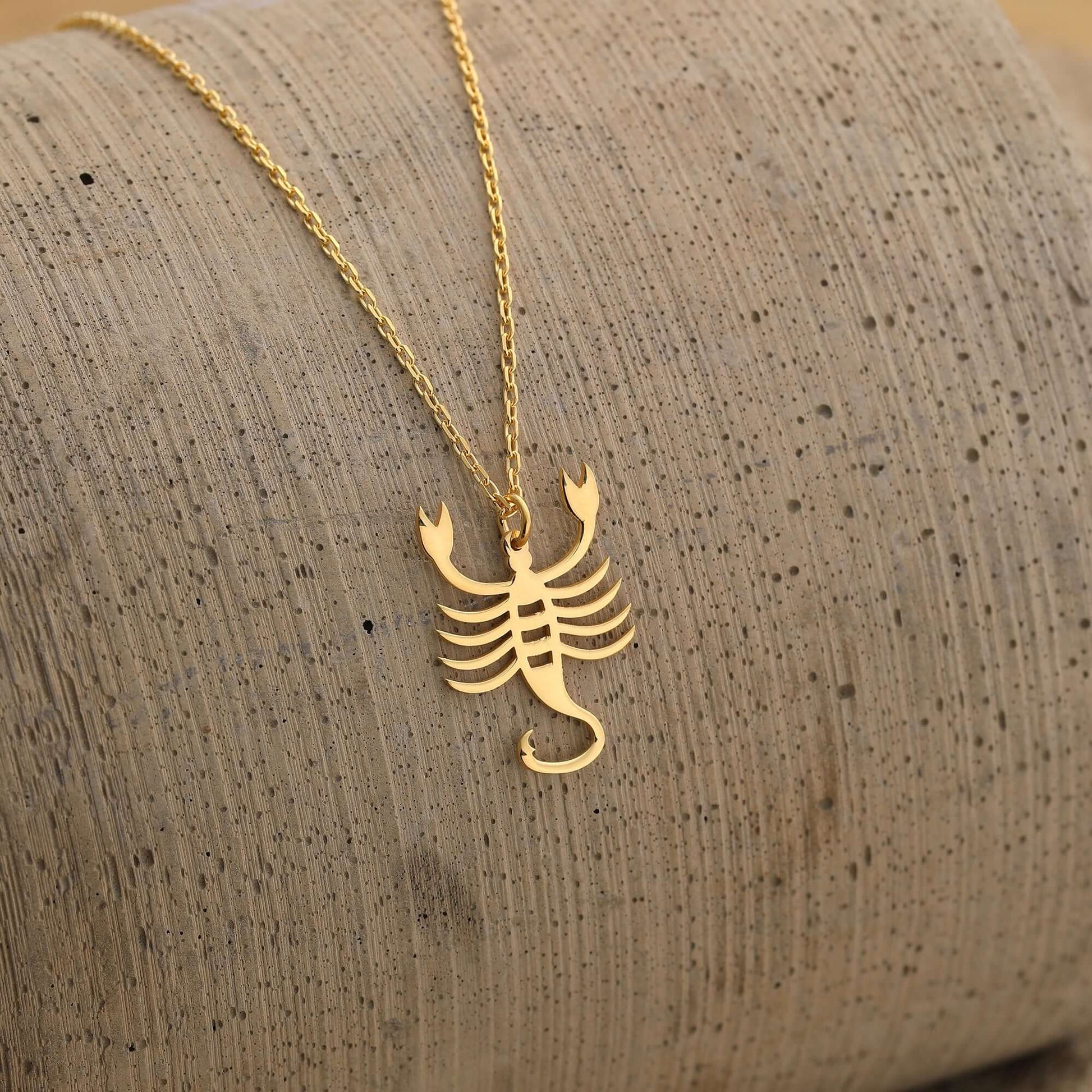 925 Ayar Gümüş Altın Kaplama Minimal Akrep Kolye - ÖzelSen